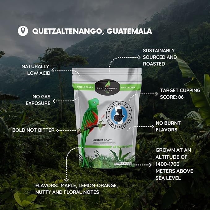 Canopy Point Coffee - Guatemala Medium Roast - 5lb Bag, Freshly Ground, Specialty Small Batch Air