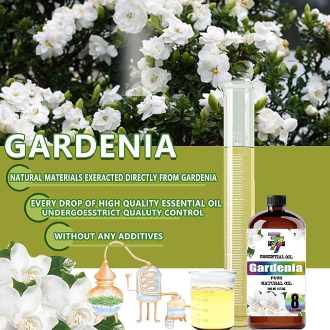 Gardenia Essential Oil (8 oz / 240 ml) ??Gardenia Oils for diffusers, humidifiers, Home Baths
