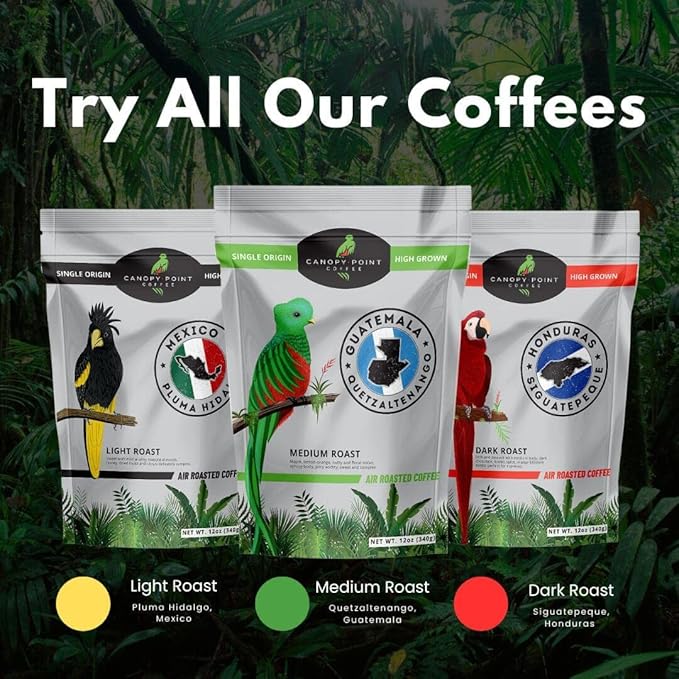 Canopy Point Coffee Guatemala medium air roasted coffee beans - whole bean & ground, specialty
