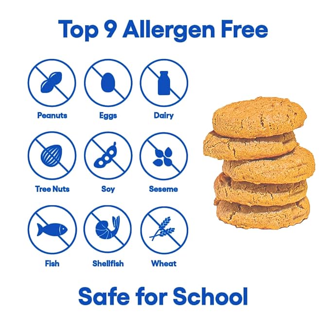 Partake Gluten Free Ginger Snap Crunchy Cookies - Vegan - Free From the Top 9 Allergens Including