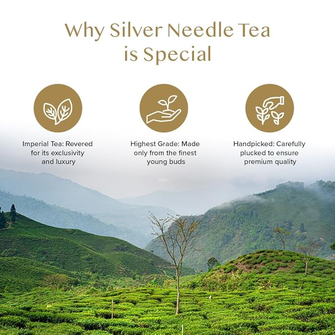 VAHDAM, Imperial White Tea Leaves From Himalayas (25 Cups/1.76oz) High Elevation Grown, White Tea