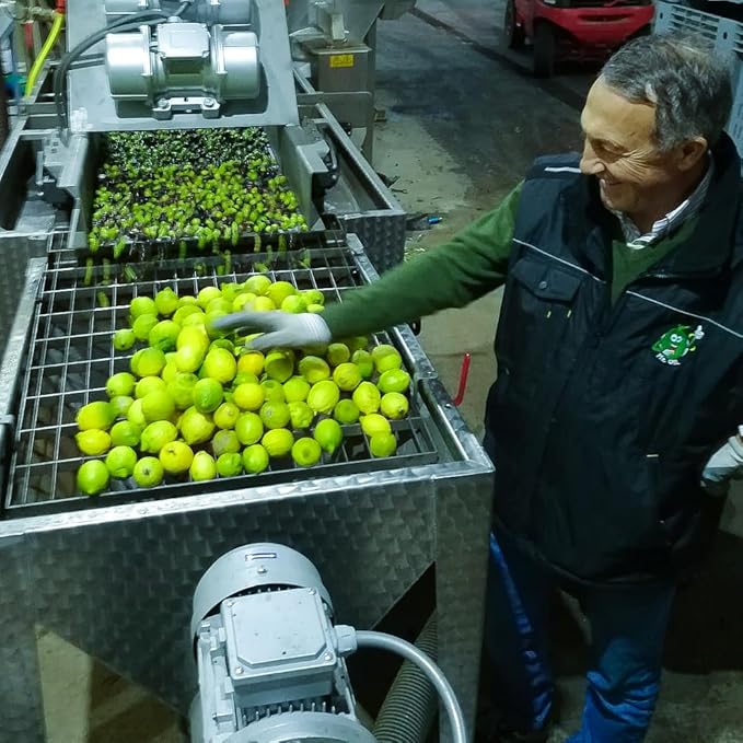 Galbasa - Organic Lemon Oil from Sicily, Italy - First Cold Pressed Extra Virgin Olive Oil and