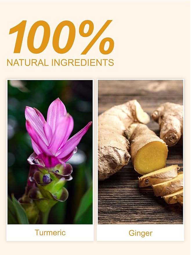TeeLux Turmeric Ginger Tea Bags, Pure Natural Turmeric Ginger Herbal Tea, Spicy & Smooth Flavor