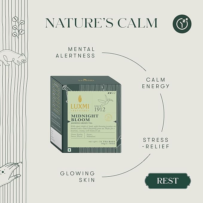 Luxmi Estates Midnight Bloom Organic Jasmine Tea (25 Tea Bags) Mildly Caffeinated Tea Bags For