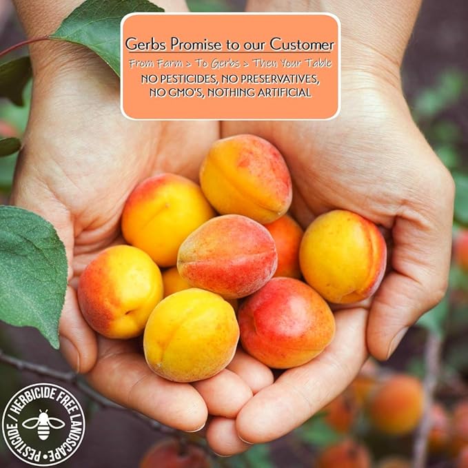 Gerbs Dried Apricots 4 lbs. | Unsulfured, No Additives, Resealable Bag | Naturally Sweet & Chewy |