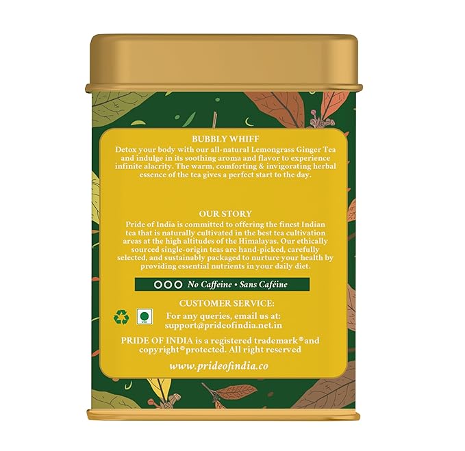 Pride of India | Lemongrass Ginger Zesty Fresh Tea | 15 Pyramid Full Leaf Individually Wrapped Tea
