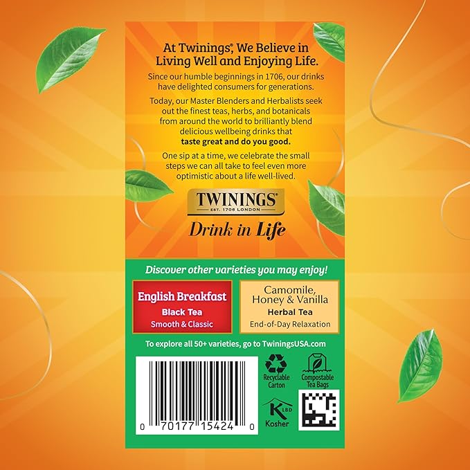 Twinings Irish Breakfast Black Tea Individually Wrapped Bags, 20 Count (Pack of 6), Flavourful