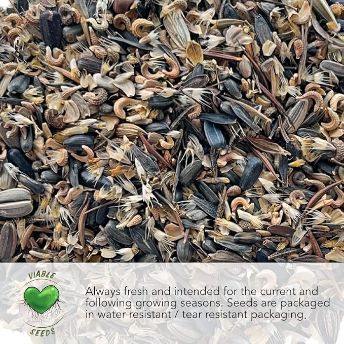 Seed Needs Sunflower Seeds to Plant Sunset Blend 7 Varieties Mix | 750+ Seeds Helianthus Annuus