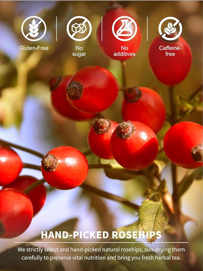 TeeLux Rose Hips Tea Bags, Premium Rosehip Herbal Tea, Fruity Flavor and Aroma, Caffeine-free, 100
