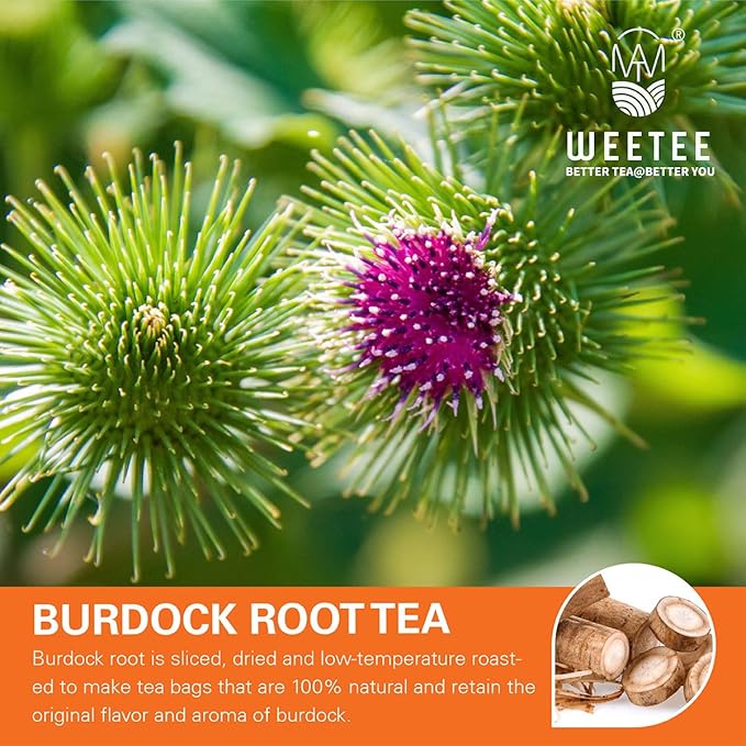WT WEETEE Burdock Root Tea Bags, Made with 100% Pure Burdock Root, Rich in Antioxidants, Naturally