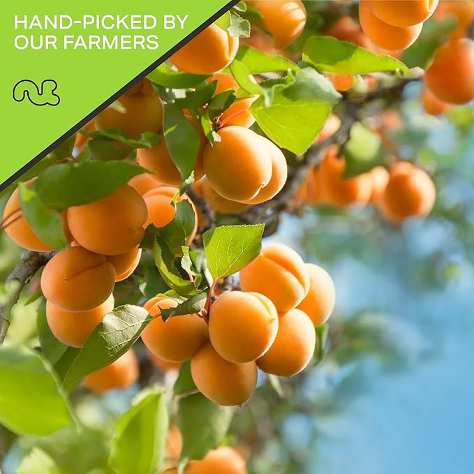 NUT CRAVINGS - Sun Dried Turkish Apricots, No Sugar Added, Unsweetened (16oz, 1 LB) Bulk Dry Fruits