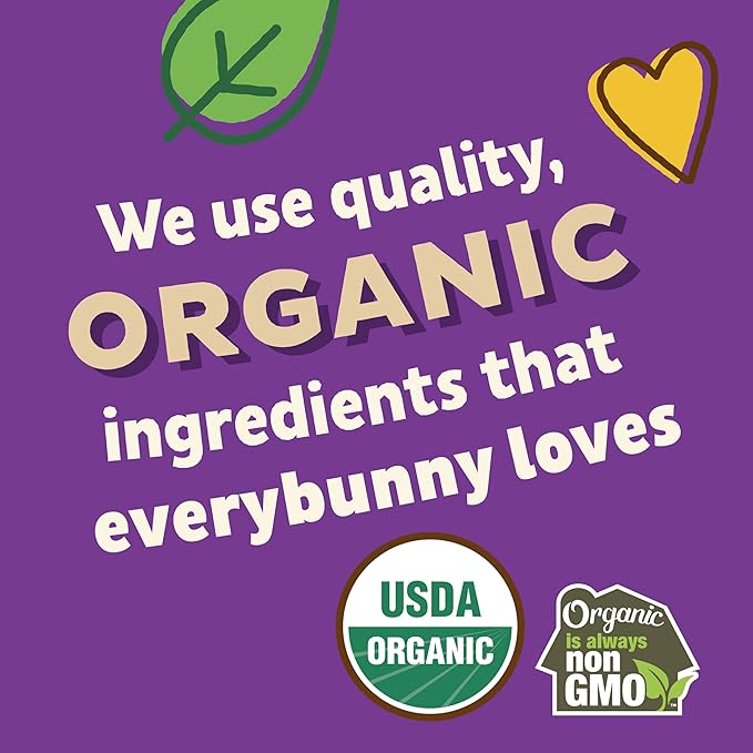 Annie's Organic Friends Bunny Grahams, Chocolate Chip, Chocolate, and Honey Baked Graham Snacks, 12