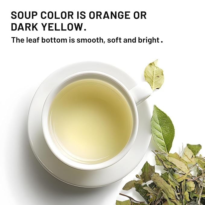 iTeaworld Gongmei White Tea Spring Harvest - Premium Chinese Tea from Fuding Fujian, Low Caffeine