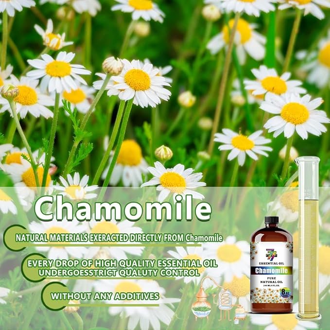 Chamomile Essential Oil (8 oz / 240 ml) ??Chamomile Oils for diffusers, humidifiers, Home Baths