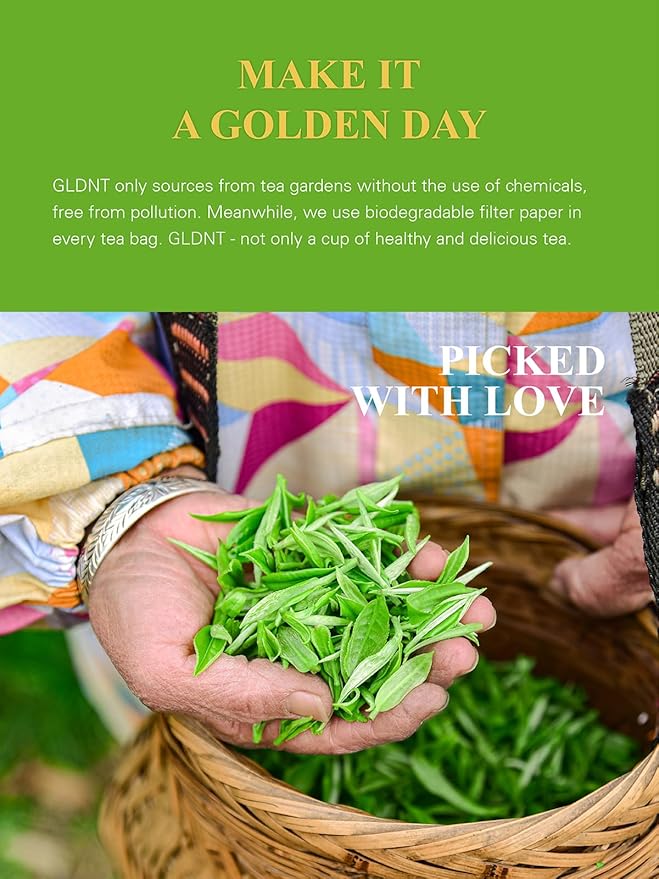 GLDNT Organic Matcha Green Tea Bags, Premium Organic Japanese Matcha + Sencha Green Tea, Rich in