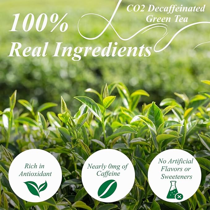 WT WEETEE Decaf Green Tea Bags, 100 Count CO2-Decaffeinated Green Tea, Drink All Day | Super
