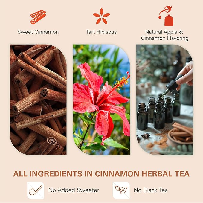 WT WEETEE Apple Cinnamon Herbal Tea Bags, 60 Count, Perfect Blend of Sweet Cinnamon, Tart Hibiscus