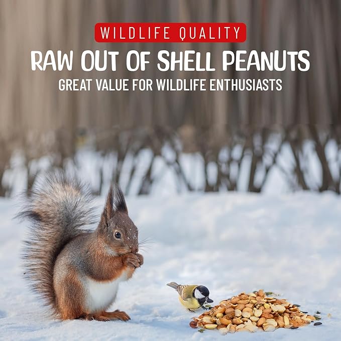 Premium Quality Raw Out of Shell Peanuts - 5 Pounds - Shelled Peanuts for Birds – Wildlife Quality
