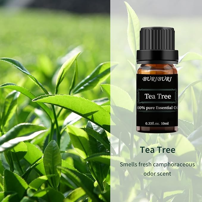 BURIBURI Tea Tree Essential Oil, 100% Pure, Undiluted, Natural Tea Tree Oil Aromatherapy Essential