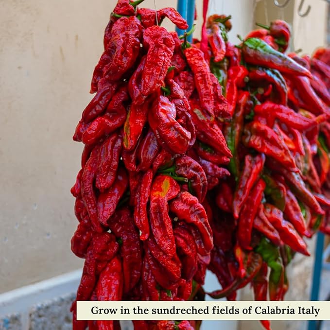 Calabrian Chili Powder, 2.11 oz (60 g), Hot Chili Pepper Powder, Product of Italy, All Natural