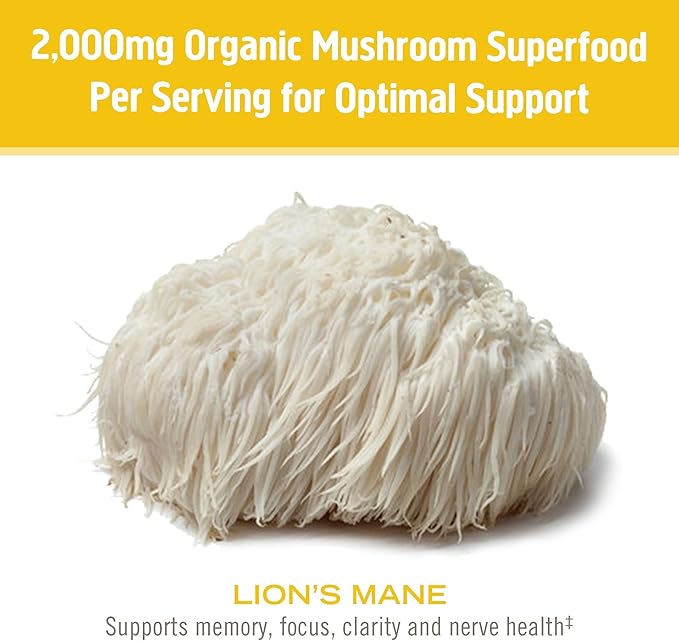 OM MUSHROOM SUPERFOOD Lion's Mane Organic Mushroom Powder, Improves Memory, Focus, Clarity, Nerve