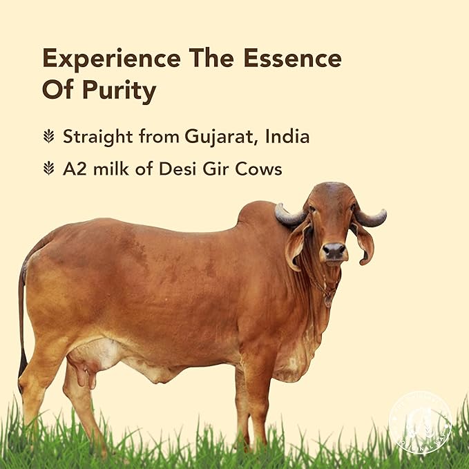 Anveshan A2 Gir Cow Desi Ghee 500ML | Grass-Fed | Pasture-Raised | Traditional Curd-Churned Bilona