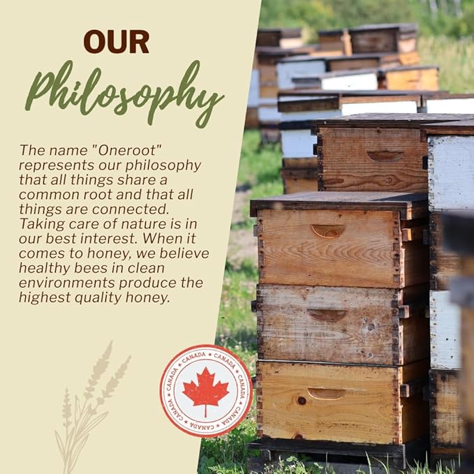 OneRoot Raw Buckwheat Honey - 500g/17.6oz, Unheated, Unfiltered and Unprocessed Natural Dark Honey
