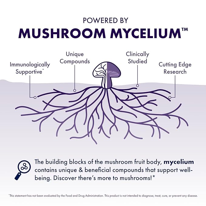 Host Defense MycoBrew Cocoa - Cocoa Drink Mix Includes Lion's Mane Mushroom Powder - Superfood