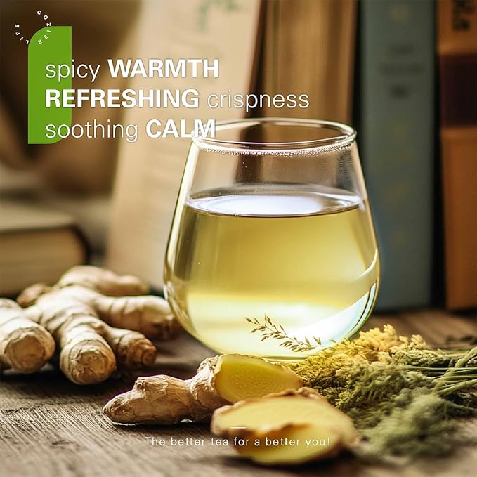 WT WEETEE Organic Ginger Green Tea Bags, Made of Green Tea with Ginger Roots, 100 Warm & Refreshing