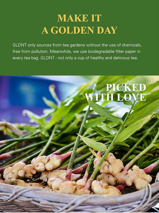 GLDNT Organic Ginger Tea Bags, Natural Organic Ginger Root Tea, Spicy & Zesty Flavor, Caffeine