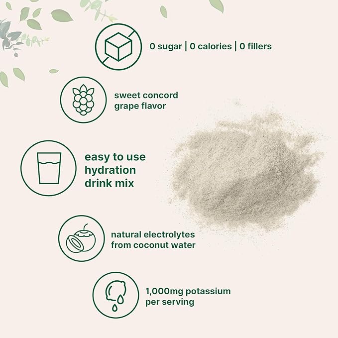 Micro Ingredients Hydration Electrolyte Powder, 2 lb (139 Servings) | Concord Grape Flavor | High
