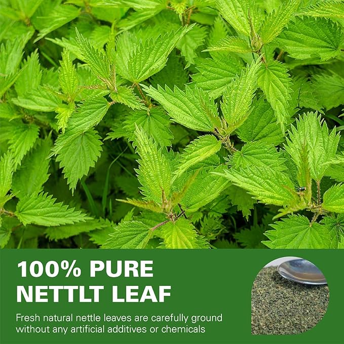 WT WEETEE Nettle Leaf Tea Bags, Made with 100% Pure Stinging Nettle Leaf, Natural Caffeine-free