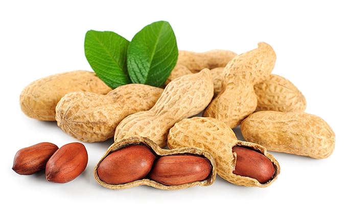 Fruidles Raw Peanuts, Raw Peanuts in Shell, Great for Boiling, Squirrels Feed, Birds Feed and