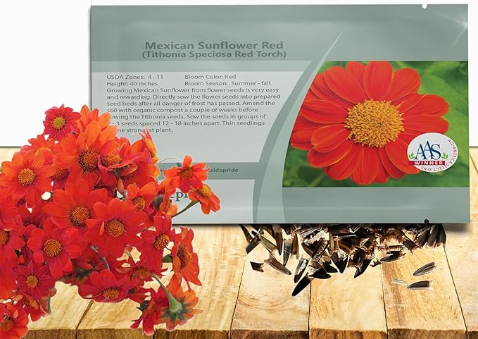 Outsidepride Red Torch Mexican Sunflower Seeds - 2000 Seeds Annual Tithonia, Fast-Growing, Heat &