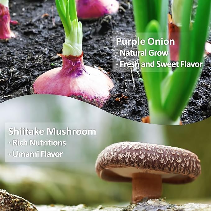 Yimi Onion and Mushroom Seasoning Mix, Umami Flavor, Finely Ground Powder for Soups, Stews, and