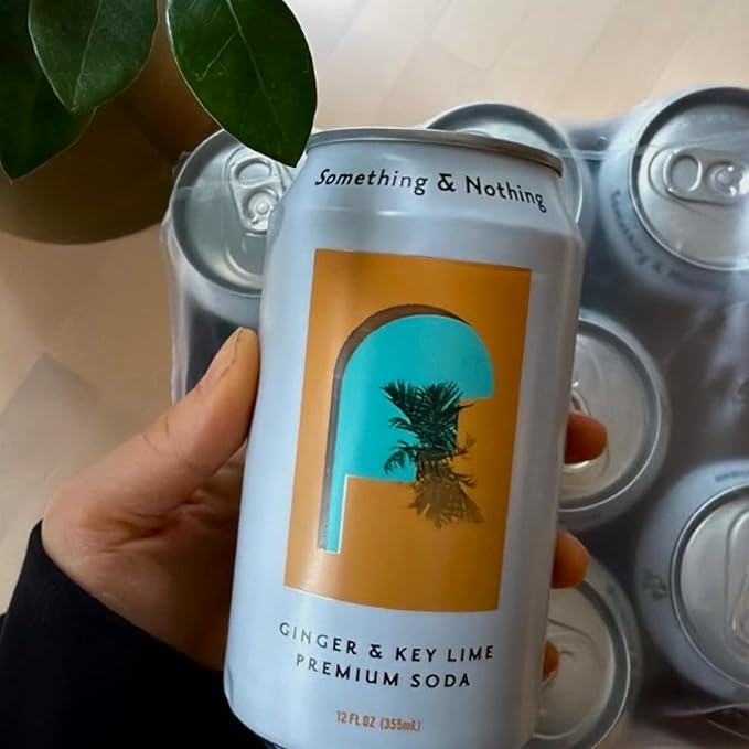 Something & Nothing Ginger & Lime Flavoured Sparkling Water | Lightly Carbonated, Full Flavoured