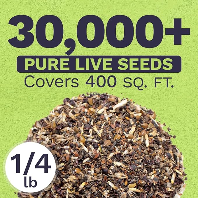 California Wildflower Mixture - Bulk 1/4 Pound Bag - Over 30,000 Native Seeds - Open Pollinated and