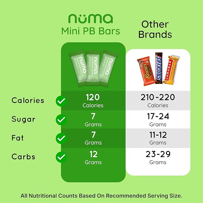 Numa Foods Mini Coconut Peanut Butter Bars – Vegan, Low Sugar, High Protein, All Natural, Gluten