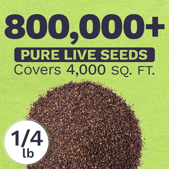 Red Poppy Seeds - Bulk 1/4 Pound Bag - Over 800,000 Wildflower Seeds