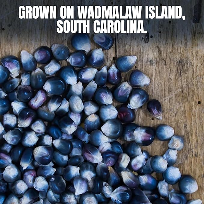 Marsh Hen Mill Indigo Popcorn Kernels | Vibrant Blue Kernels That Pop into Crisp White Flakes |