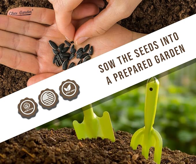 Sunflower Seeds - Teddy Bear - 50 Seeds - Heirloom, Non-GMO, USA Grown, Excellent for Pollinators