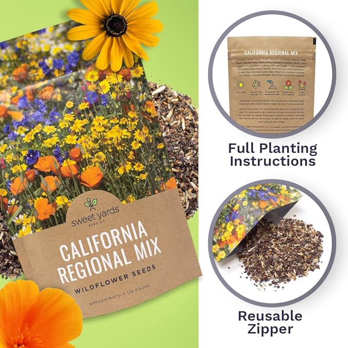 California Wildflower Mixture - Bulk 1/4 Pound Bag - Over 30,000 Native Seeds - Open Pollinated and