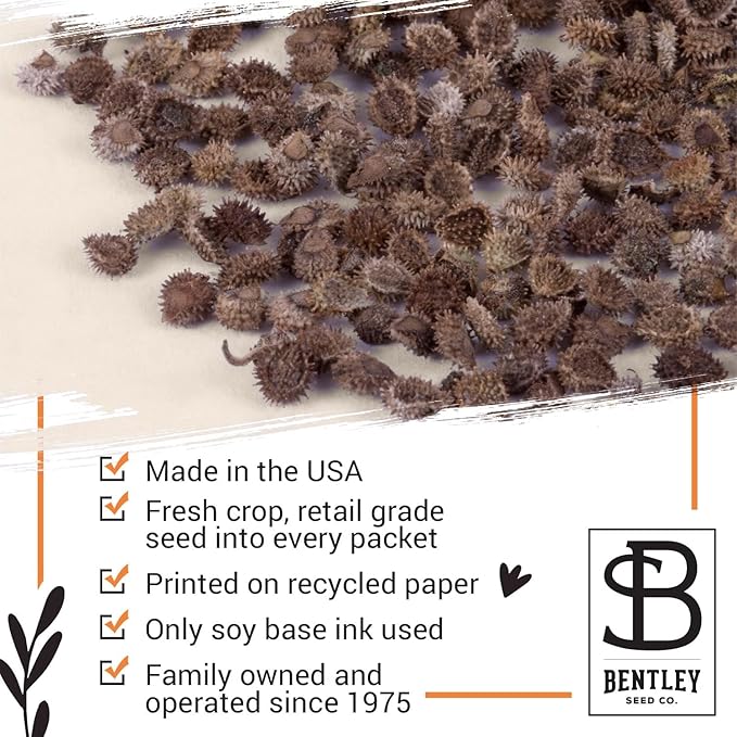 Bentley Seed Co. Thank You Packet - Help Us Grow Forget Me Not - 25 Seed Packets - Perfect