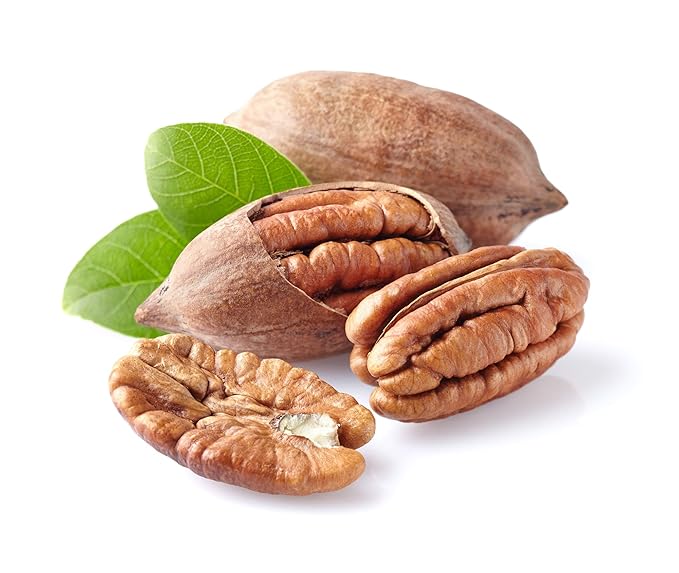 Anna and Sarah Premium Georgian Raw Fresh Pecans in Shell 9 Lbs in Box