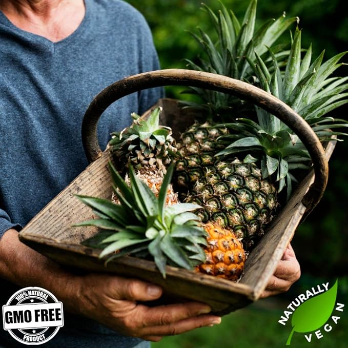 Gerbs Dried Pineapple Cubes, 2 LBS - Preservative Free & Unsulfured - Top 14 Food Allergy Free &