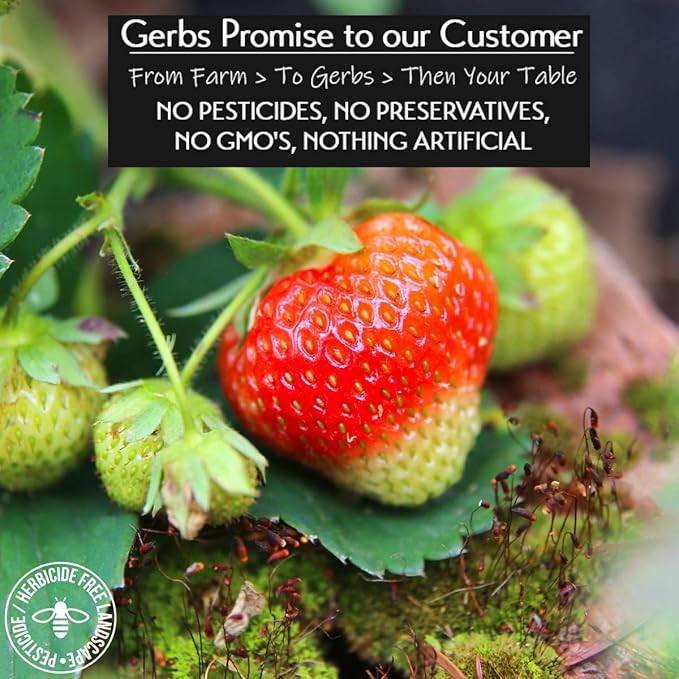 Gerbs Summer Sweet Strawberries 4 lbs. | Dehydrated, Unsulfured, Resealable Bag | Naturally Sweet &