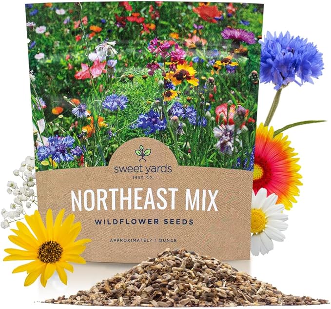 Northeast Wildflower Seeds - Extra Large 1 Ounce Packet - Over 7,500 Native Seeds - Open Pollinated