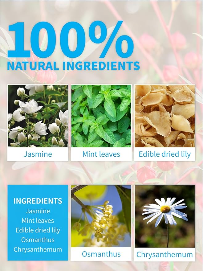 TeeLux Mint Jasmine Tea, 3g/bag, Mint with Jasmine, Lily, Osmanthus, Chrysanthemum, Fresh &