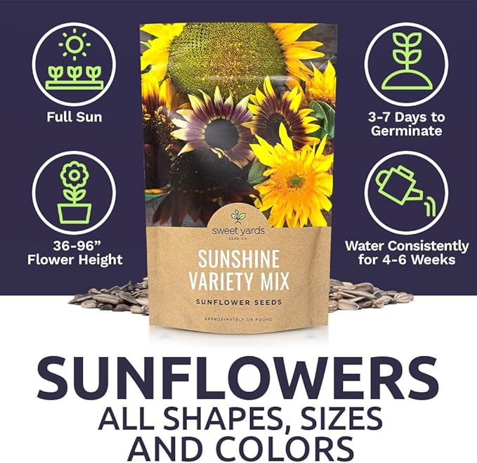 Bulk Sunflower Seeds - Variety Mix 10 Types of Beautiful Sunflowers - 1/4 Pound Bag Open Pollinated