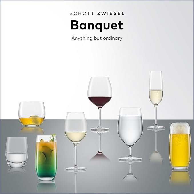 SCHOTT ZWIESEL Banquet Iced Beverage Cocktail Glass (Set of 6), Bar Glasses for Long Drinks
